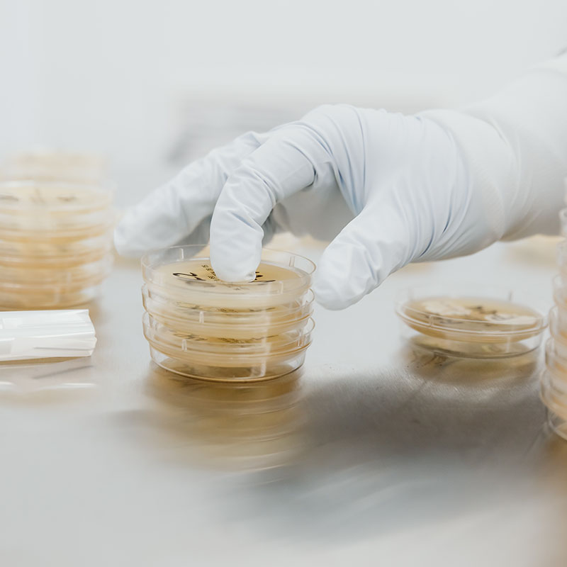 Gloved Worker Hands Providing Sampling and Dispensing Solutions